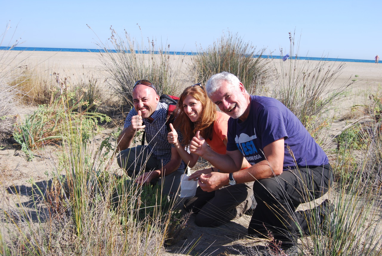 Searching for ragweed amongst the dunes